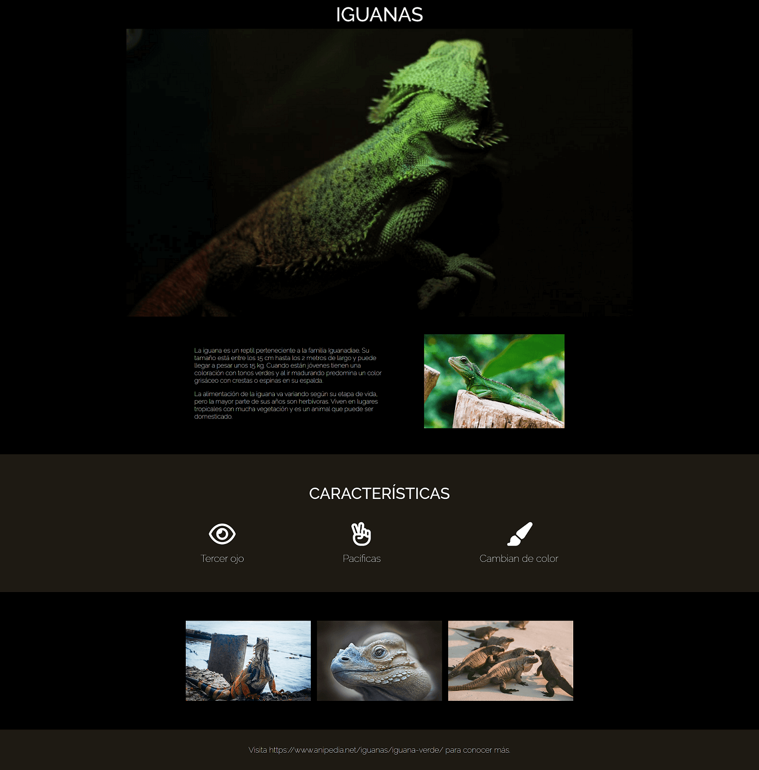 screenshot página flex