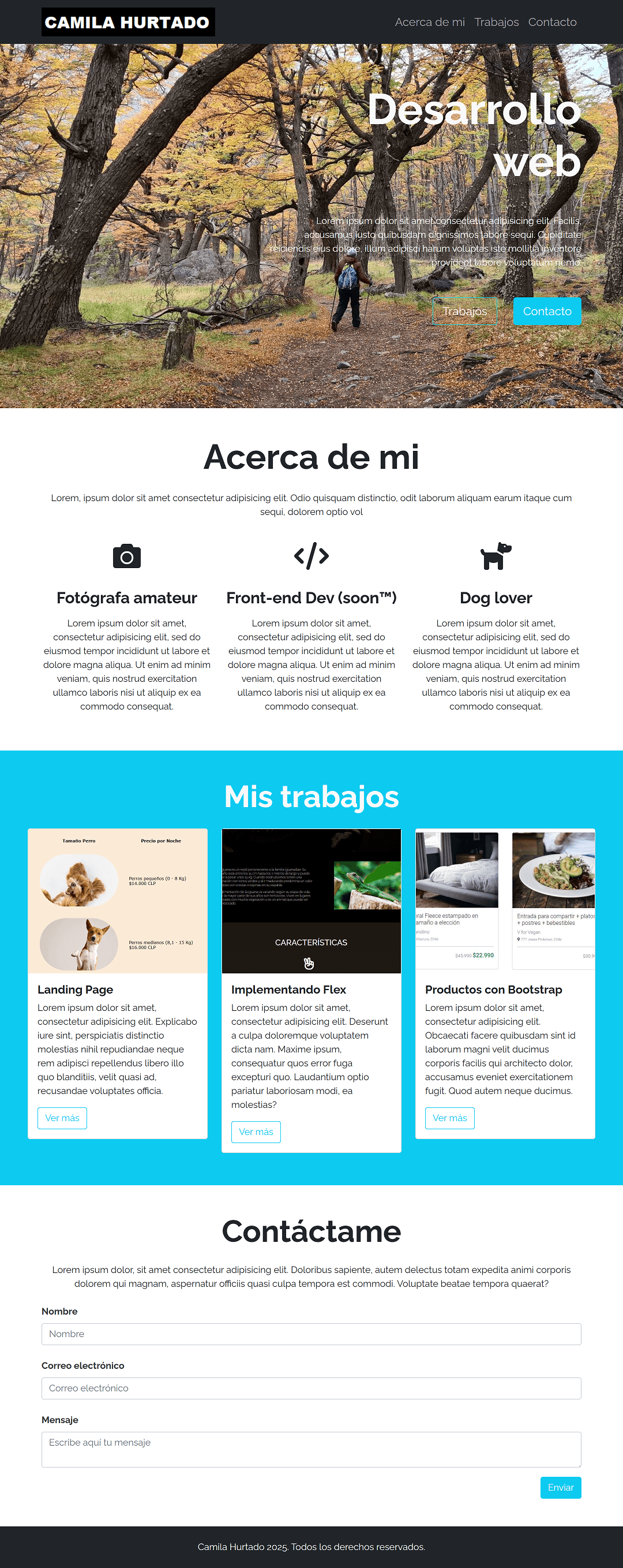 screenshot página git